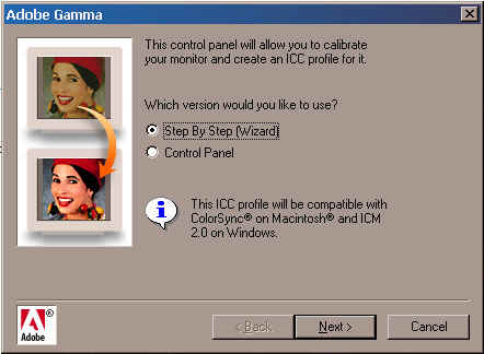 The Adobe Gamma Window in the control panel 31kb
