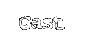 The Cast